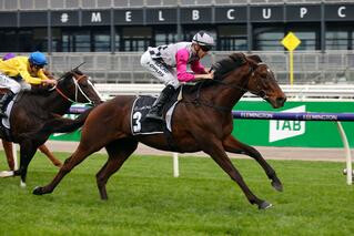 A powerful win in the Group 3 Bart Cummings books Surprise Baby (NZ) a spot in the Melbourne Cup. 